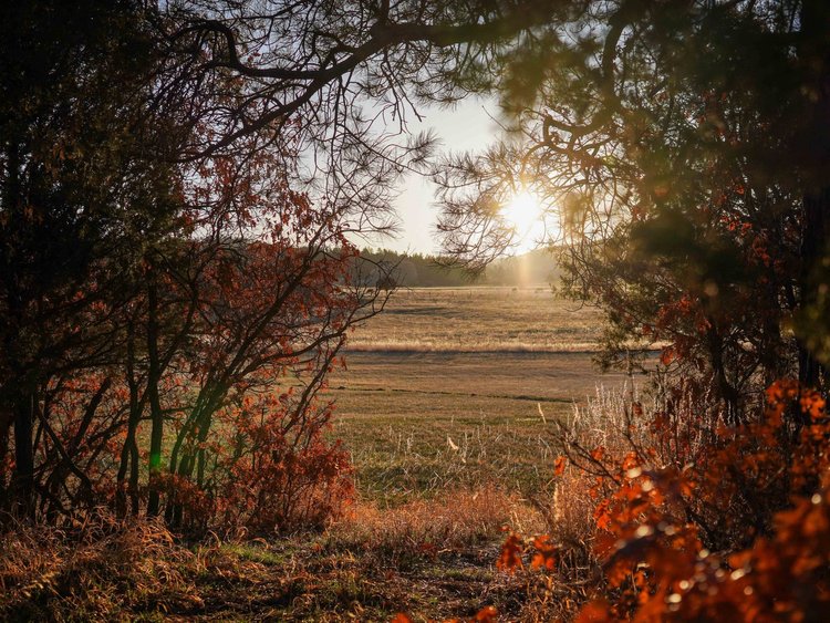 A landscape in New Mexico