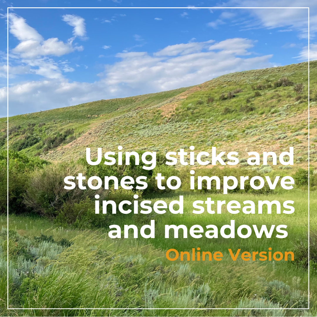 Low-Tech Methods to Promote Healthy Streams and Meadows: A Factsheet