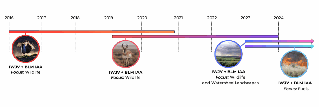 A timeline of inter-agency agreements between the IWJV and the BLM.