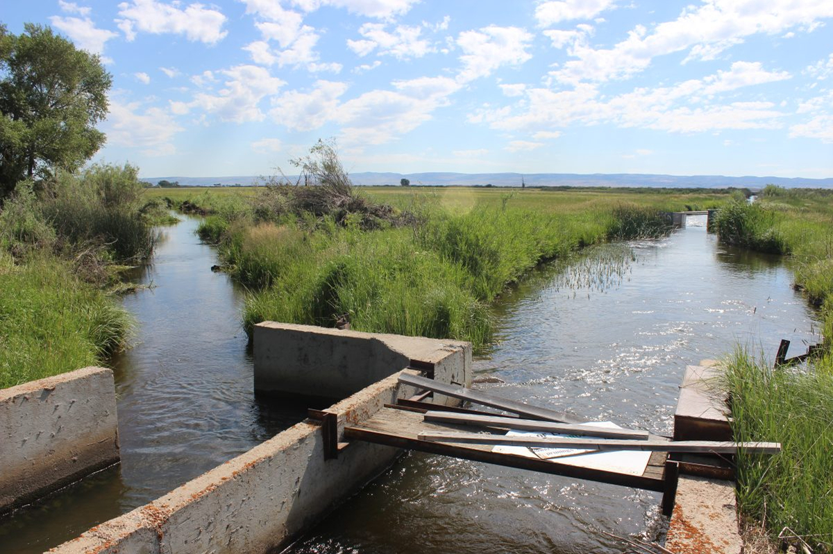 Two irrigation ditches flow away from a diversion along a field.