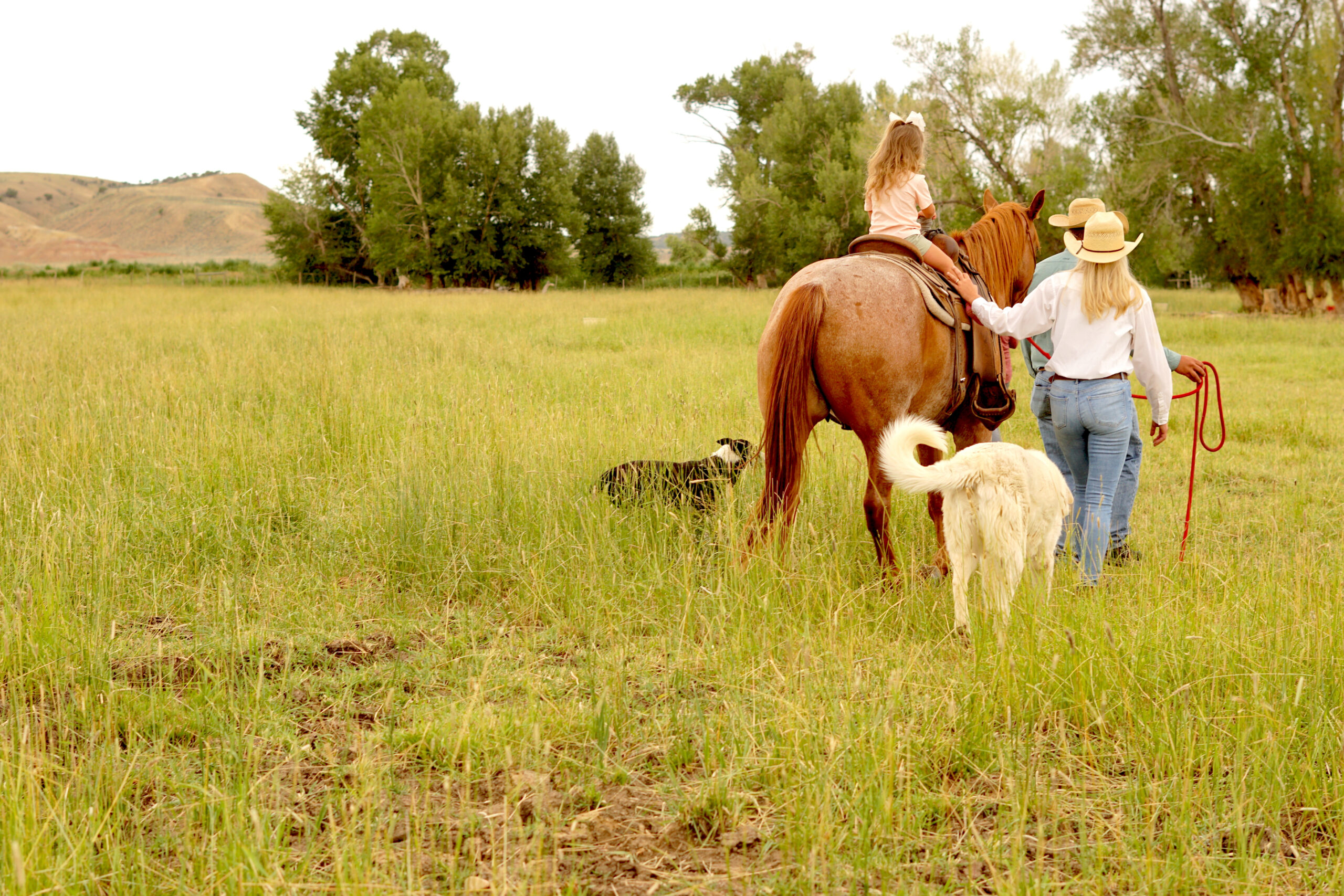 A placeholder image of a girl on a horse being led by a man and woman with two dogs following closely beside.