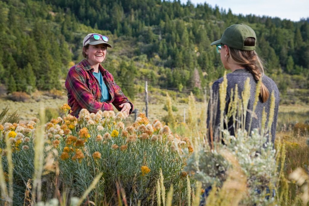 Group of conservation professionals meeting in a western grassland.