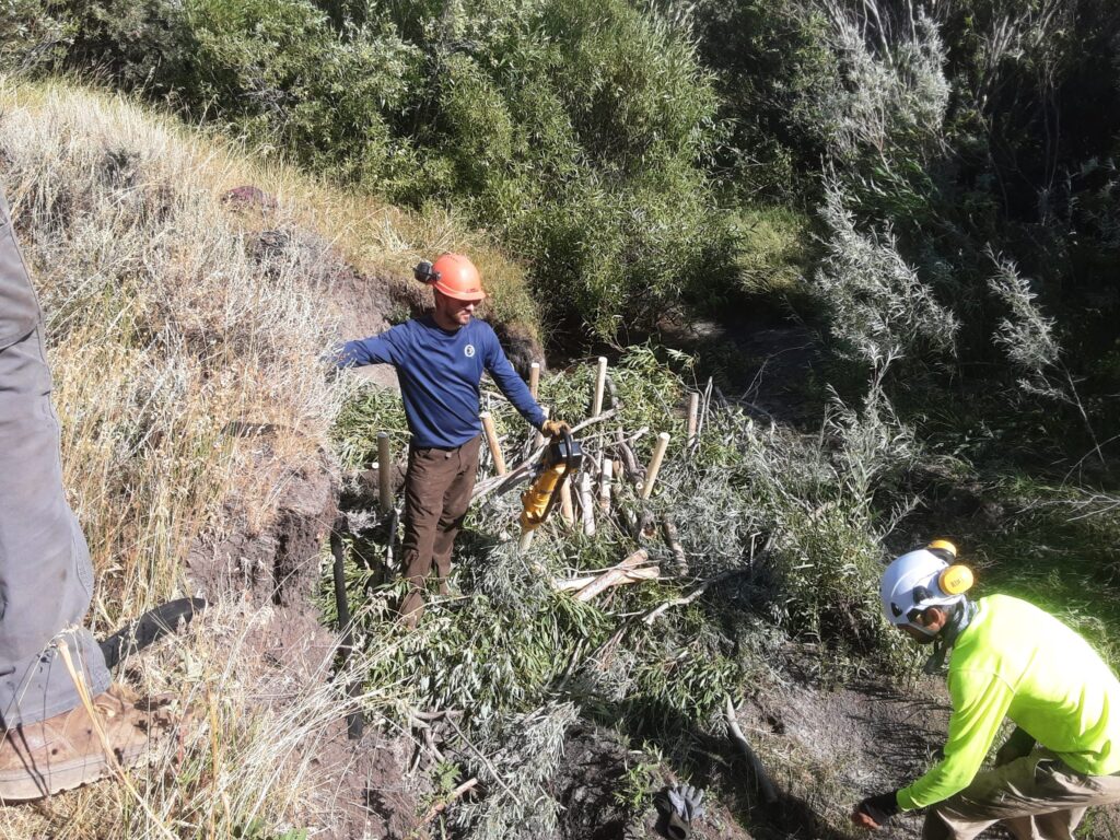 Workers install a beaver dam analog structure in a dry creekbed.
