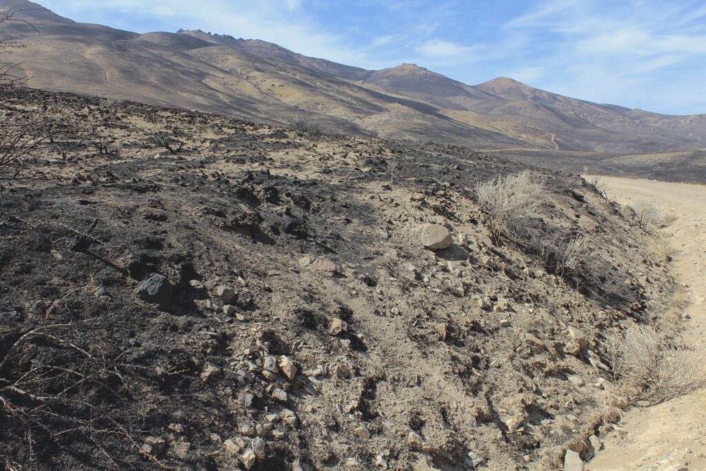 A photo of the aftermath of the soda fire