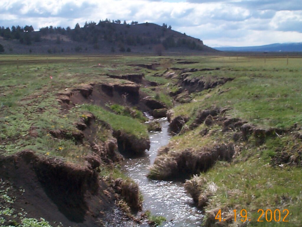 Incised and eroding creek banks in a green field.