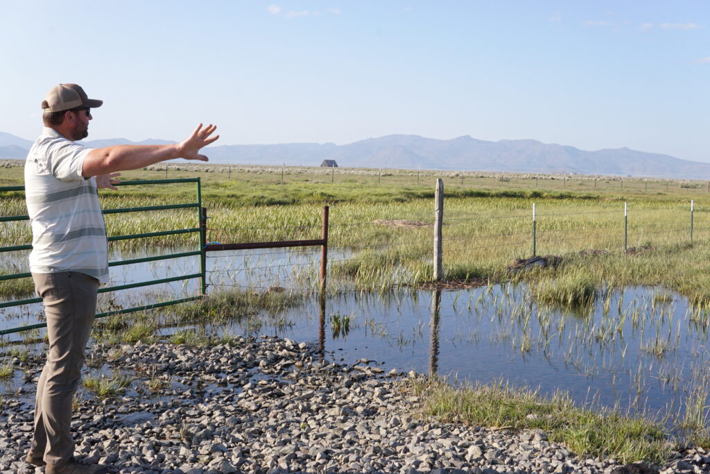 Nathan Key gestures at fencing running along a wetland.