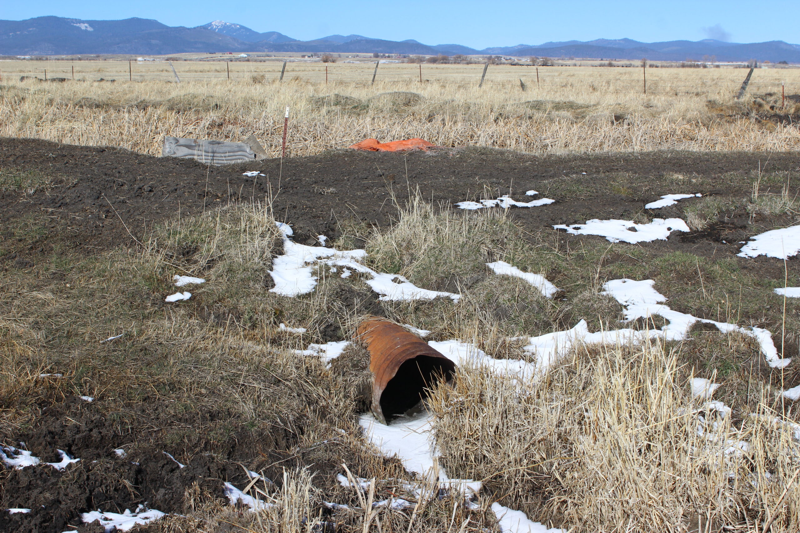A rusted culvert in a field with melting snow.