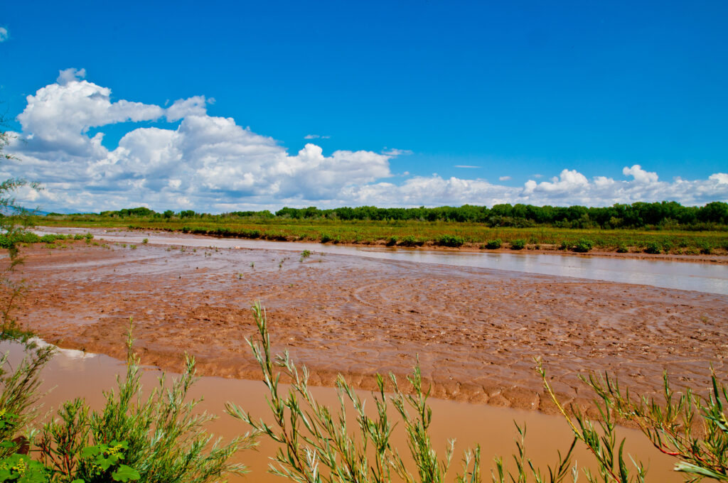 Muddy water and green river banks against a blue sky.