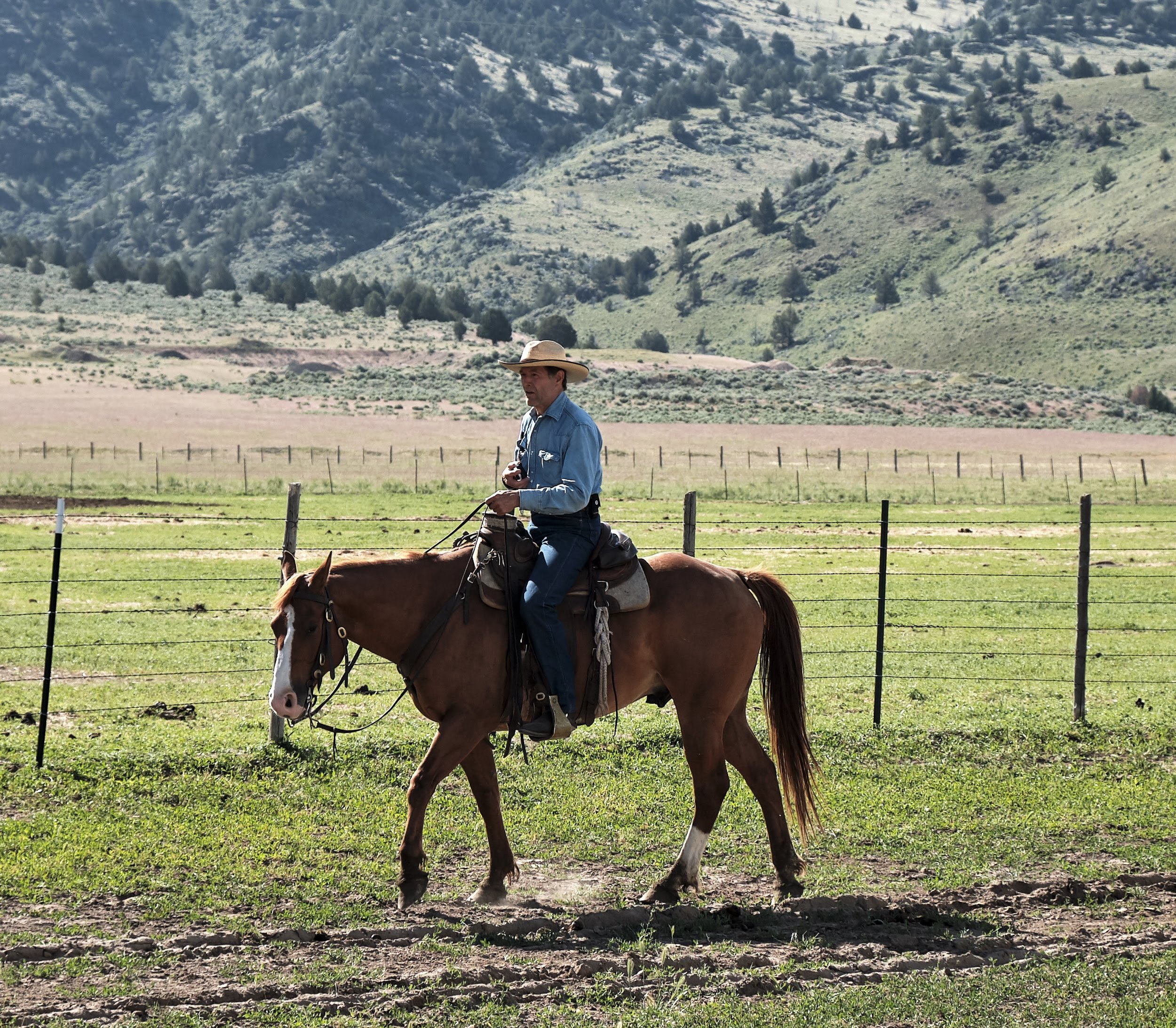 Whit Hibbard is a rancher and editor of the Stockmanship Journal and he shared this driving analogy as part of the LSLH training held at Roaring Springs Ranch, June 10-14th, 2019. He and Steve Cote, author of the “Manual of Stockmanship,” were teach…