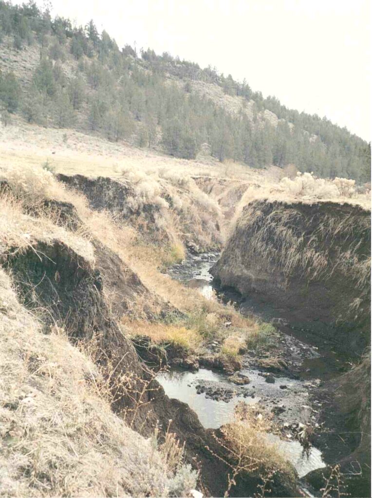 Eroding and heavily incised creekbanks on a hillside.