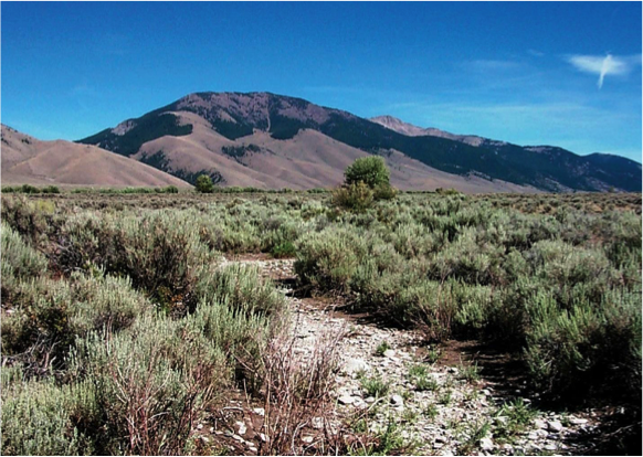 Dry creek in sagebrush