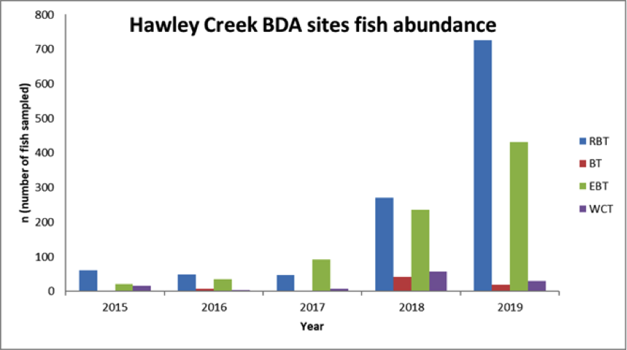 Idaho Fish and Game provided the Hawley Creek electro-fishing data, which showed a significant increase in fish abundance. (BRT=rainbow/steelhead, BT=bull trout, EBT=brook trout, WCT=westslope cutthroat trout)