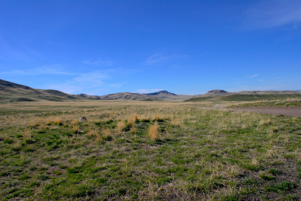 A rehabilitation site after the soda fire