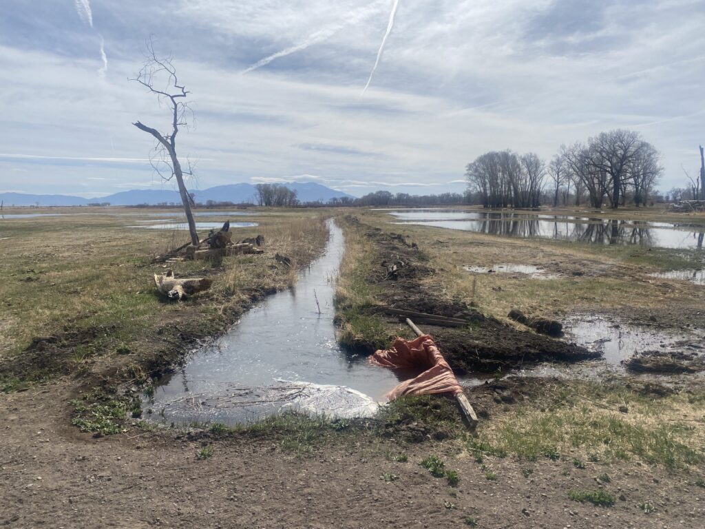 Water flows off a field into a ditch.