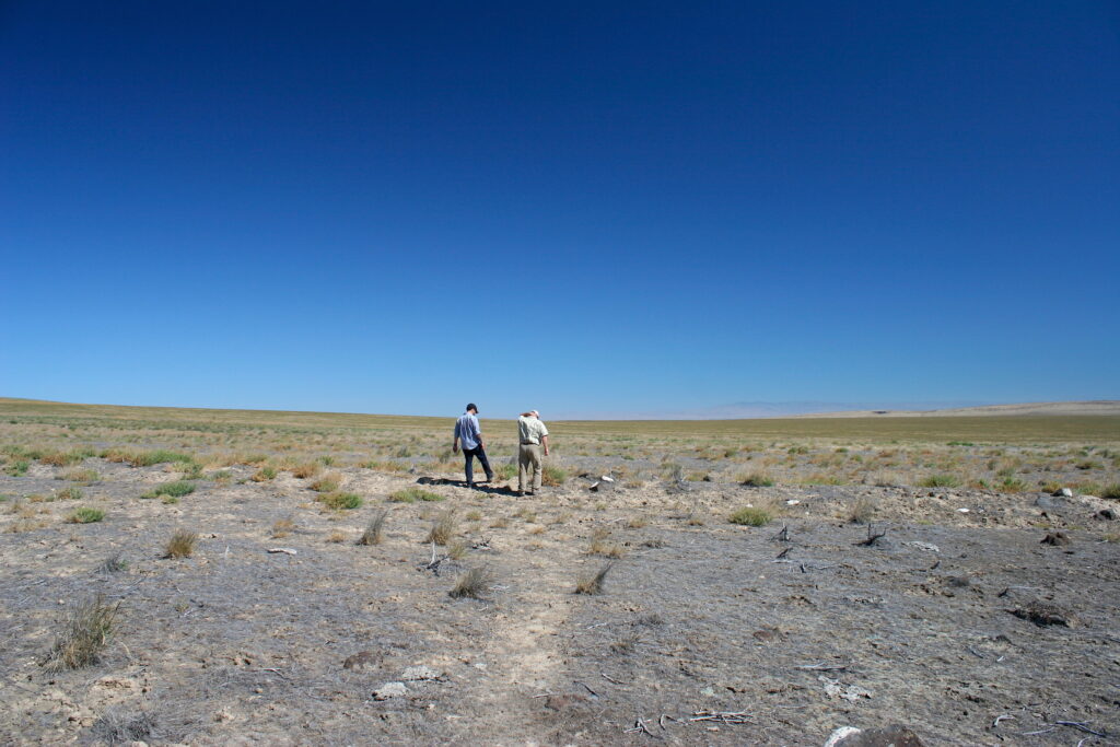 Walking across fire scar
