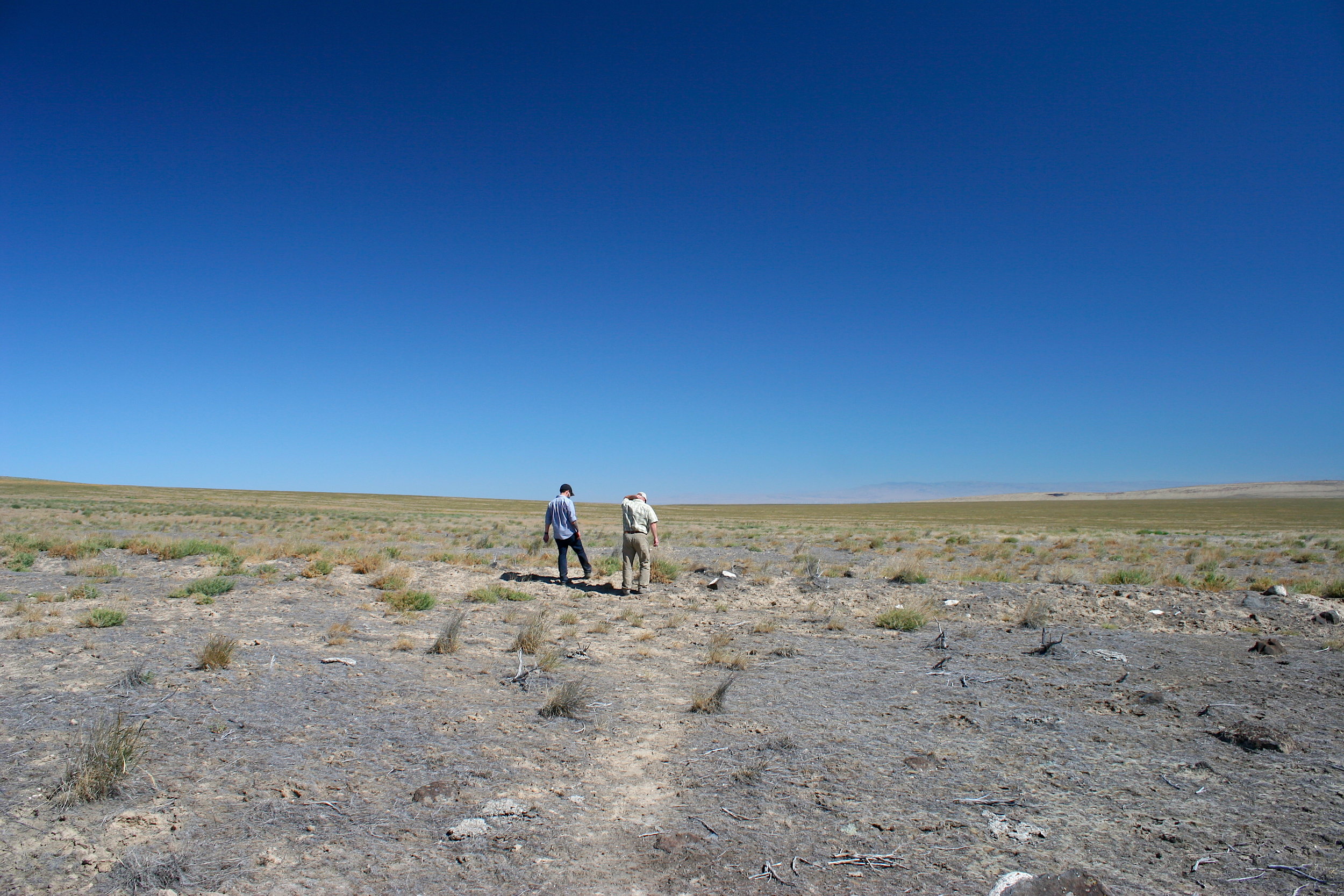 Walking across fire scar