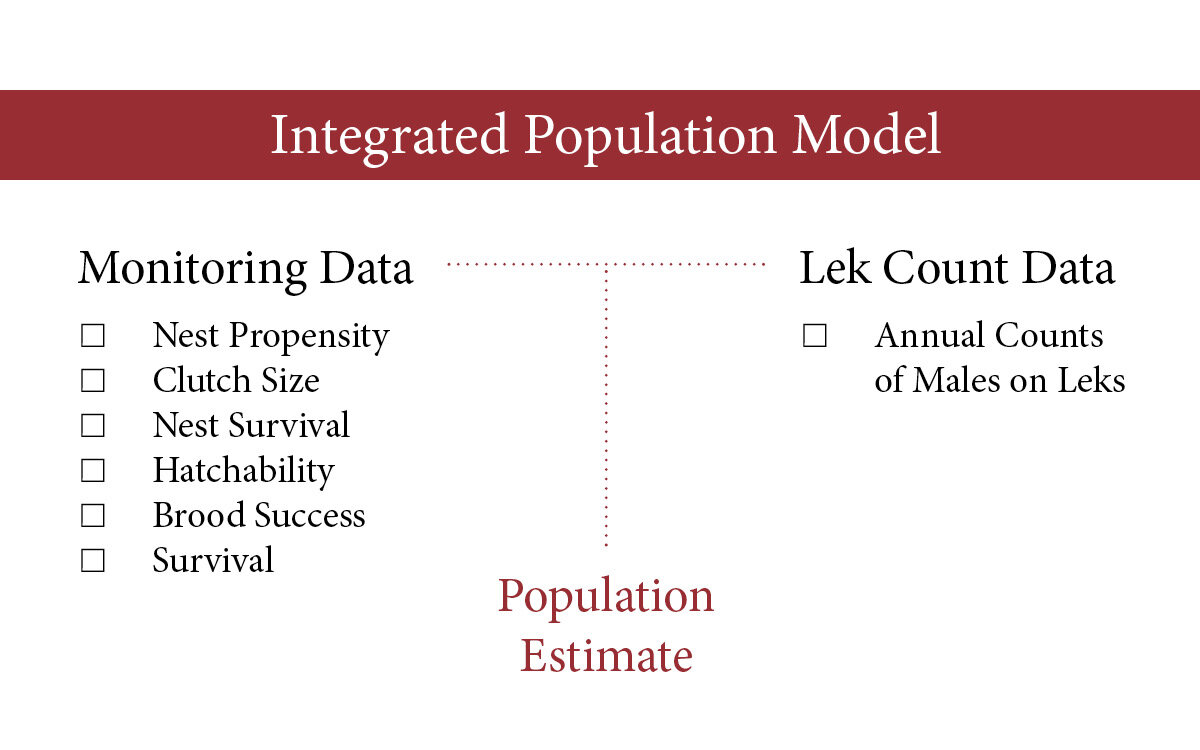 IPM Graph.jpg