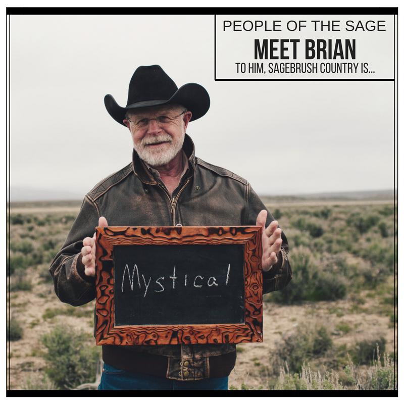 IWJV_Brian_FacebookTwitter.png