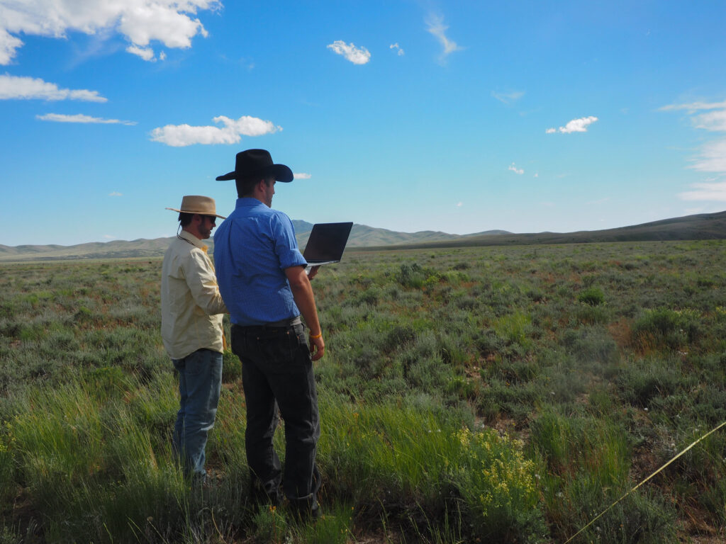 Range monitoring in action