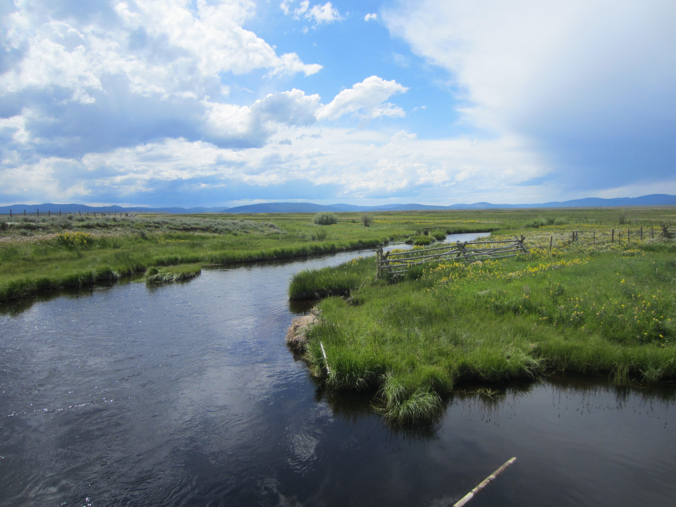A riverbend in a lush green field.