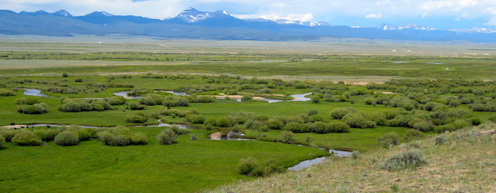 A green valley with a river winding through willows against snowcapped mountains.