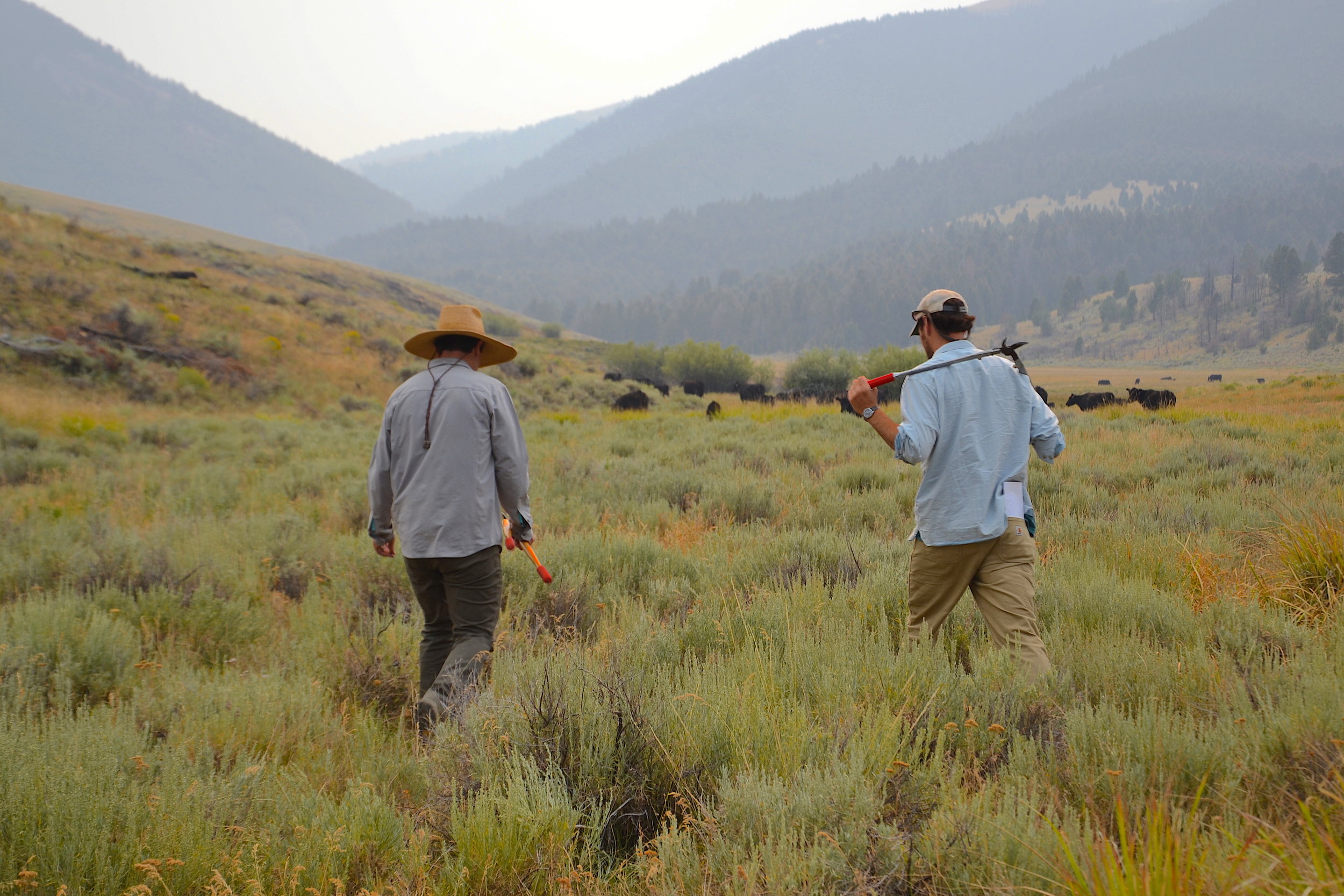 Two people in a field in Montana