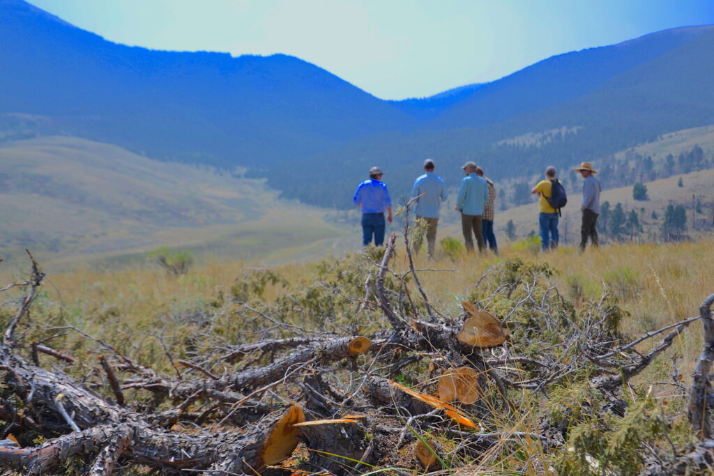 People on a hillside discussing a juniper removal project