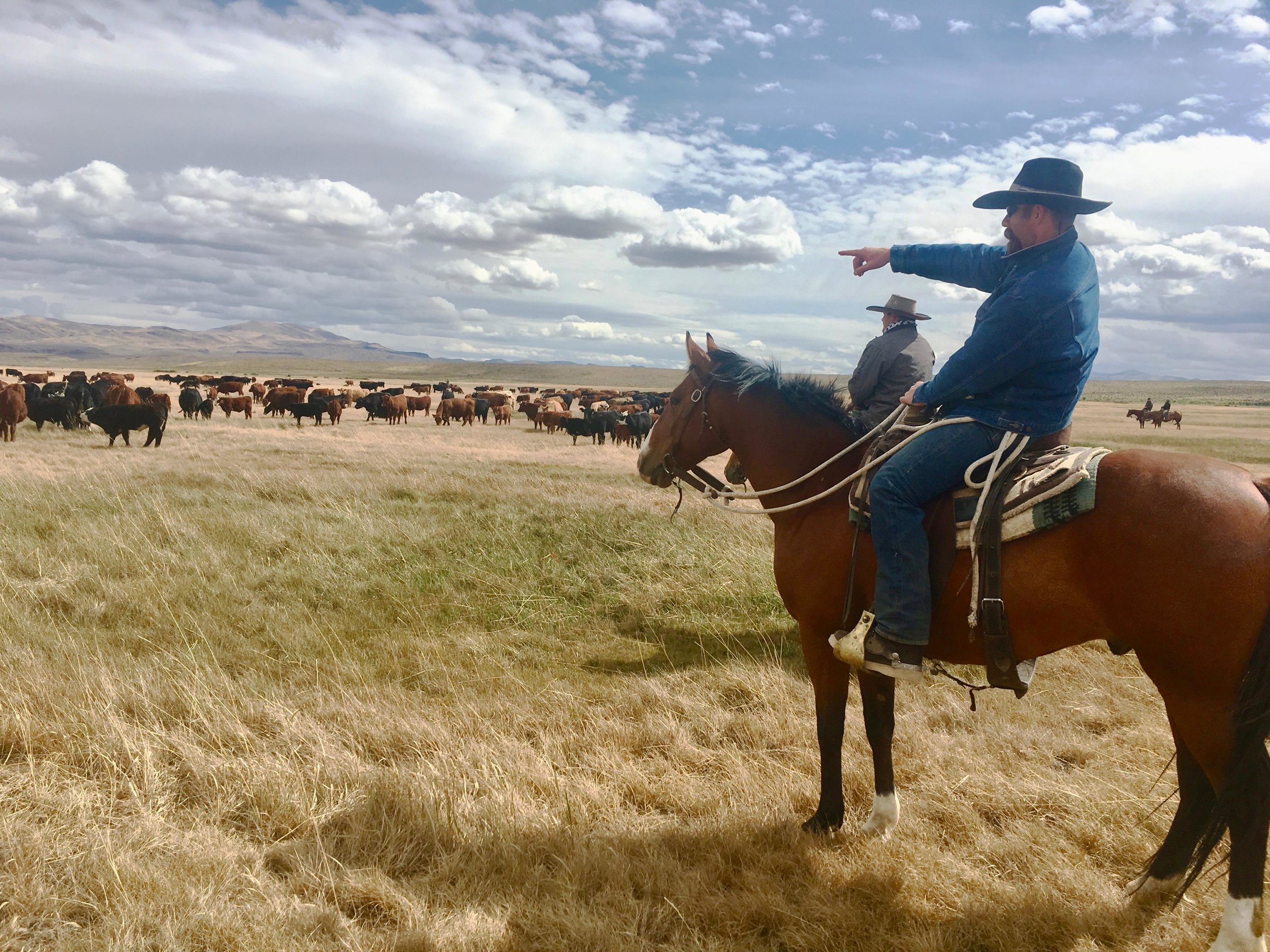 NV_2017 Stockman School_Roger Ingram.jpg