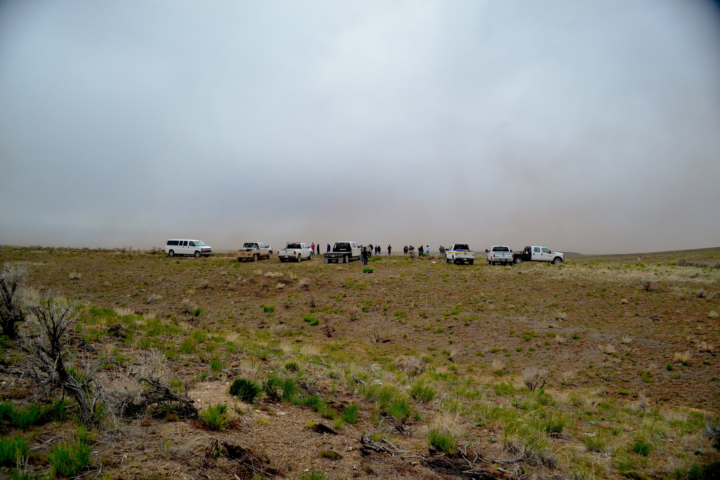 While visiting the 2018 Martin Fire scar, a large windstorm lifted topsoil and ash into the air and pelted the tour’s attendees. Matt Murphy, BLM Elko Acting Fire Management Officer, said these winds were similar to those that pushed the Martin Fire…