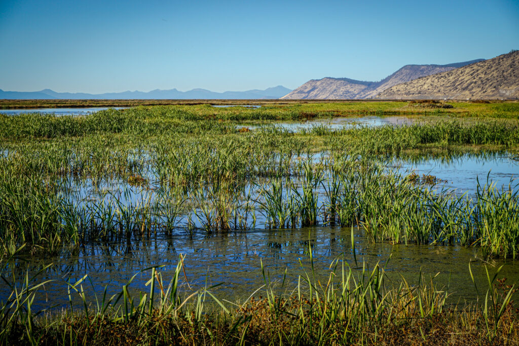 A wetland landscape surrounded by uplands and mountains.