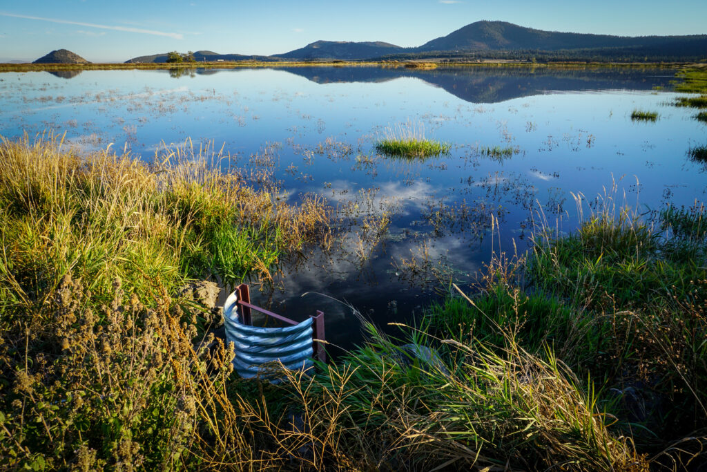 Flood irrigation in Oregon