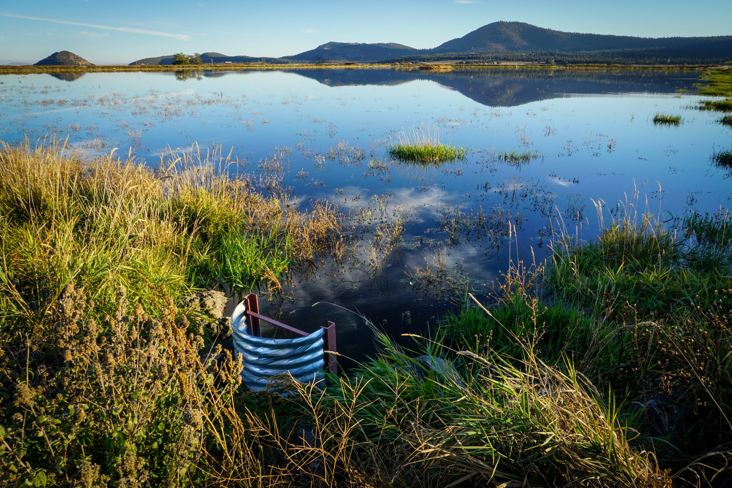 Flood irrigation in Oregon