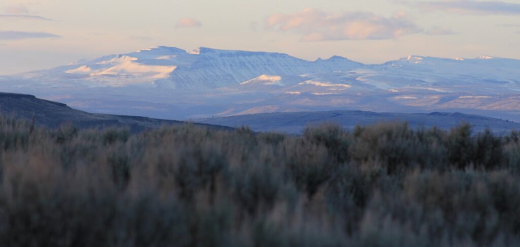 A sagebrush covered landscape recedes into a mountainous cloud-covered background