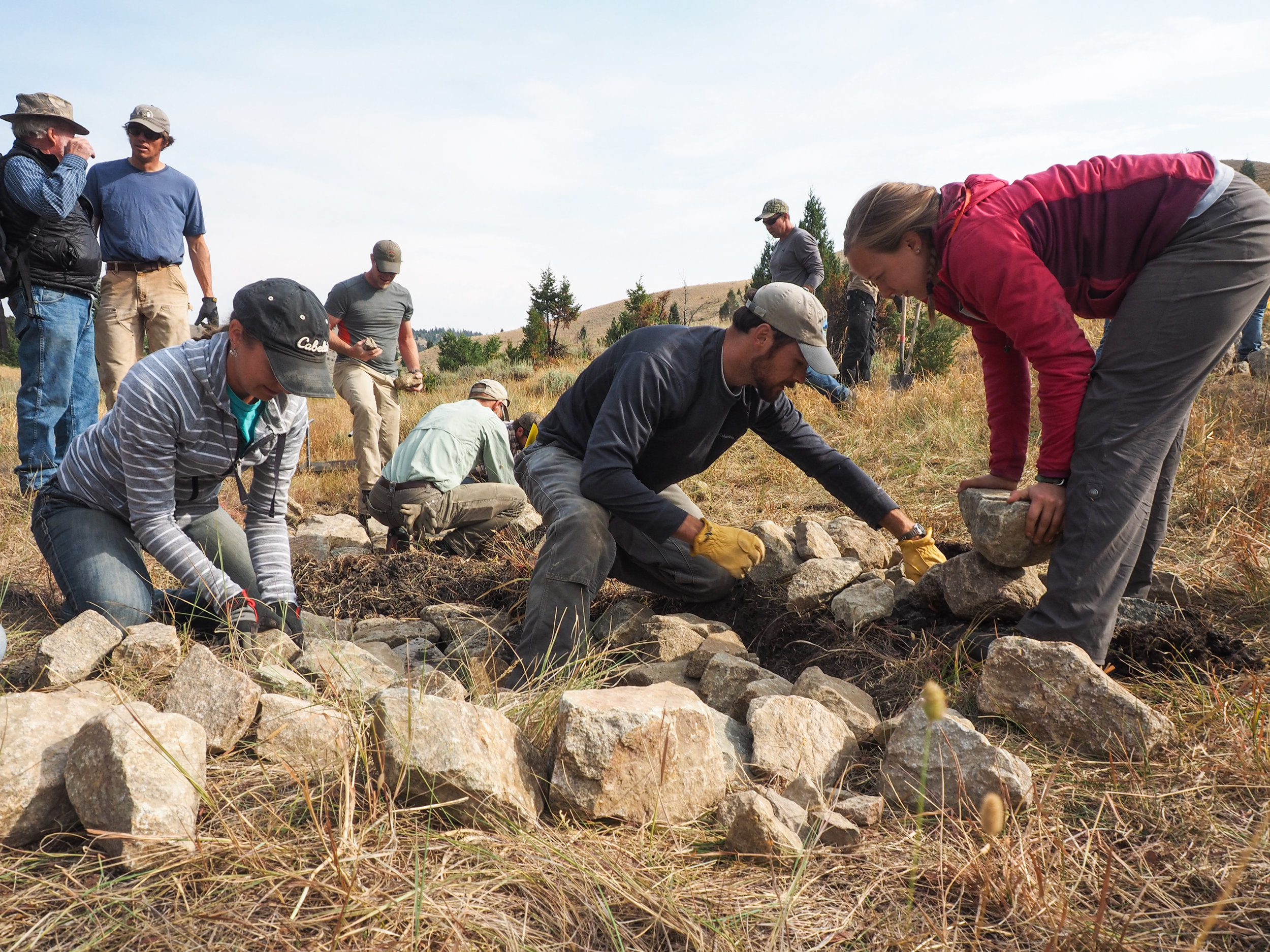 Low-tech restoration efforts, like using Zeedyk structures or beaver dam analogs, are some of the key conservation actions the Sage Grouse Initiative suggests ranchers can take to benefit both working lands and wildlife. The Initiative is working wi…