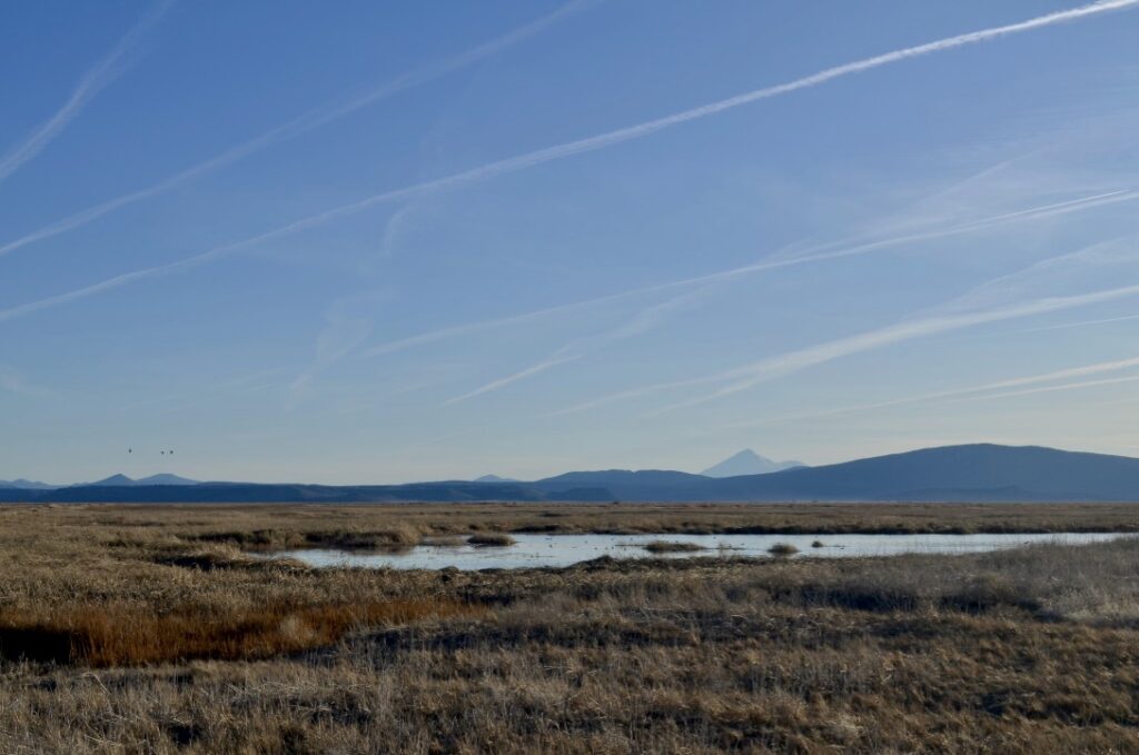 A wetland in a field with mountains in the background.