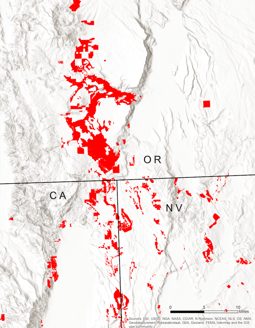The above map shows areas where conifers have been removed on both public and private lands throughout the Warner and Vya regions since 2013.
