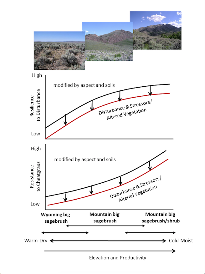 In sagebrush ecosystems resilience to wildfire and resistance to cheatgrass increase over elevation gradients, but are modified by aspect and soils. The relative resilience and resistance of a site are closely related to sagebrush ecological ty…
