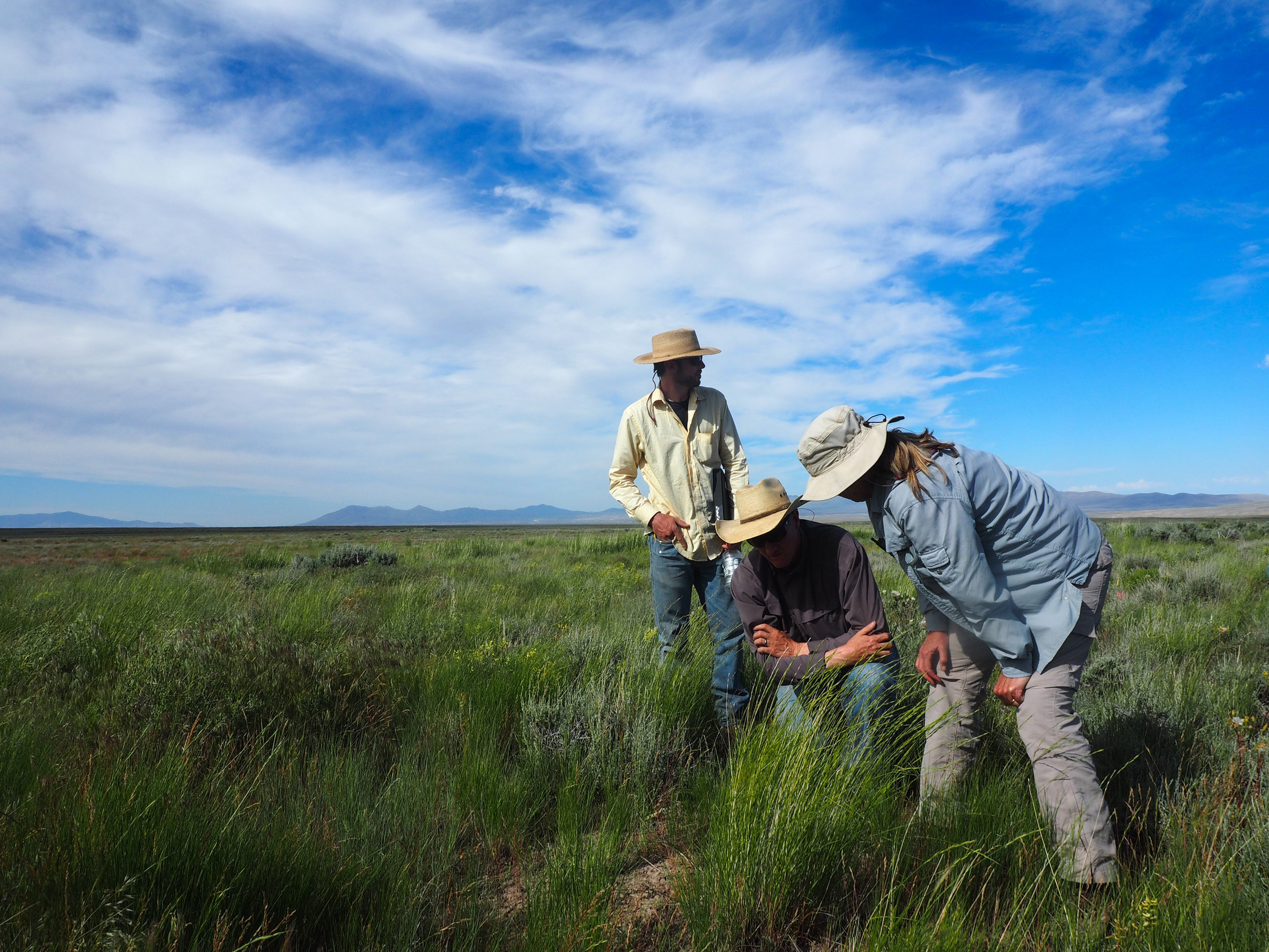 Tamzen Stringham and Lucas Phipps from the University of Nevada-Reno, and James Rogers inspect this site's forage availability.