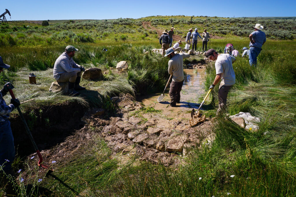 A team constructs a Zeedyk structure