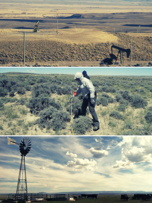 WLCI partners working on the land