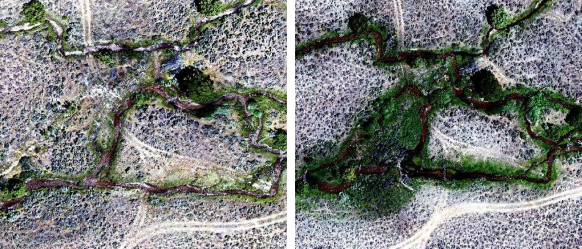 Hawley Creek in July 2016 (left) prior to BDA construction and then in 2019 (right) after perennial flow restoration and BDA installation.