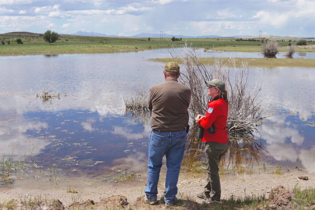 Two wetlands staff members survey a water source.