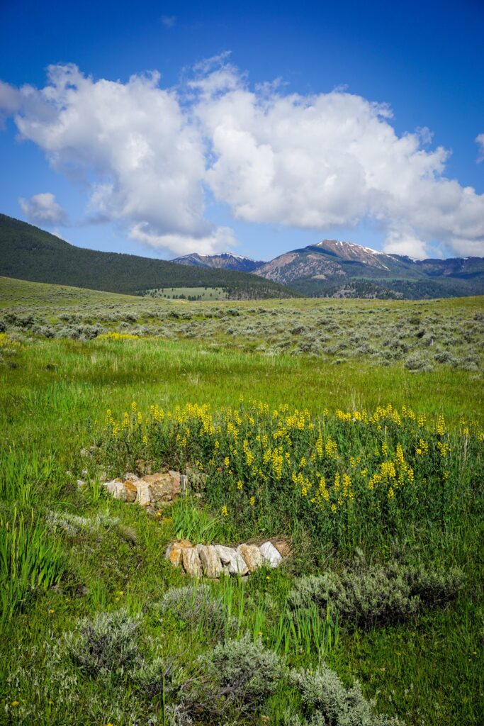 Zeedyk structures in a Montana plain