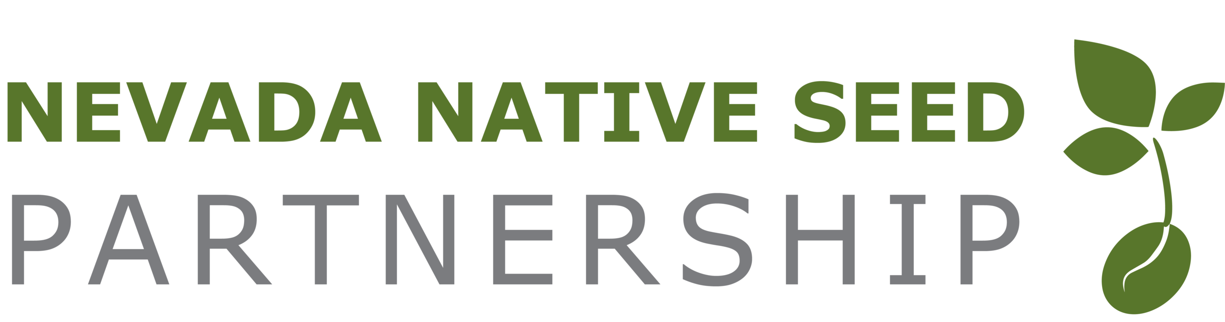 nnsp_logo_final.png