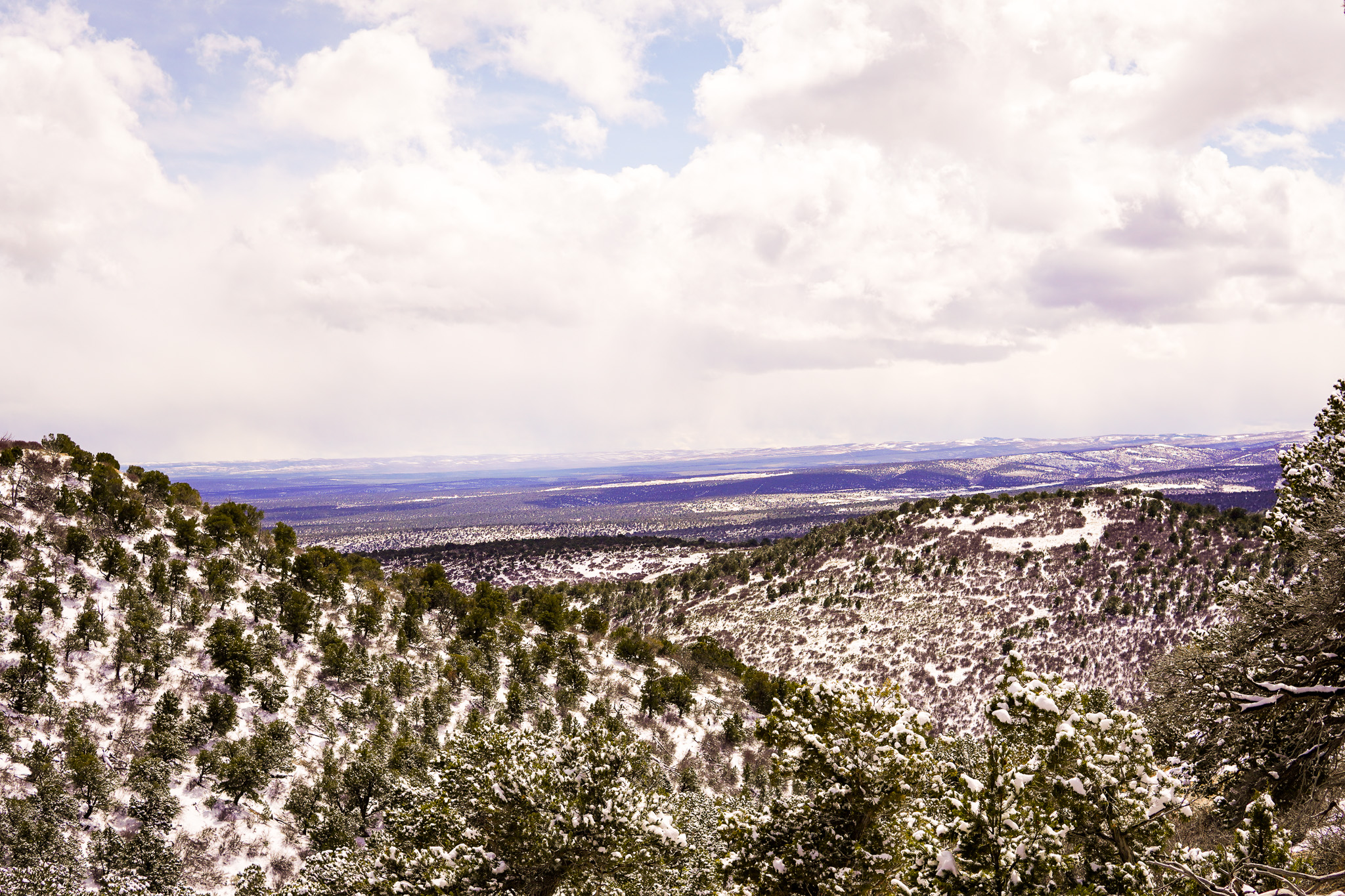 A landscape in NW Colorado.