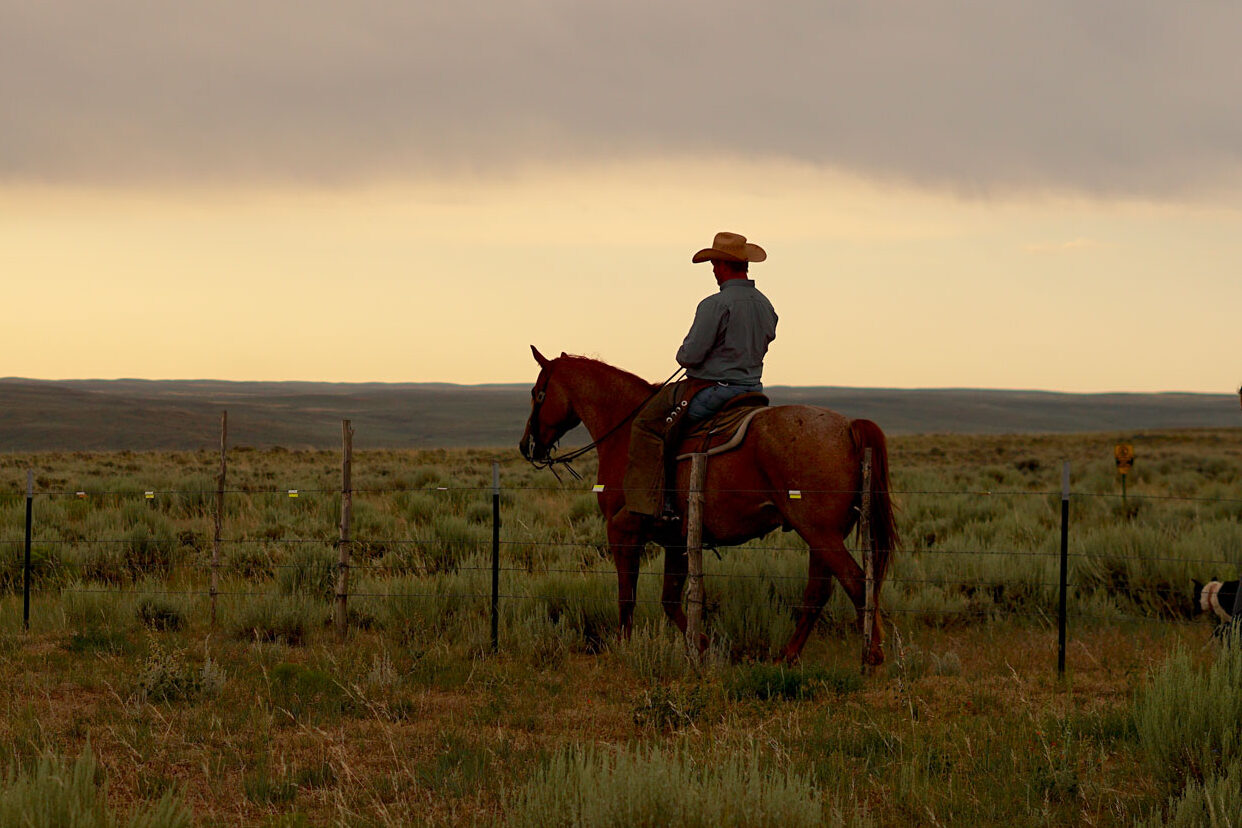 A cowboy on horseback