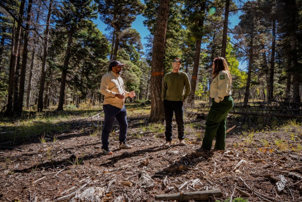 William Foster with the New Mexico Energy, Minerals, and Natural Resources Department, Cody Dems with the Forest Stewards Guild, and Andrea Jones with the U.S. Forest Service are in the field traveling the Colorado-New Mexico state line on the Rio Grande National Forest to see multiple years of timber management funded by the CFLRP.
