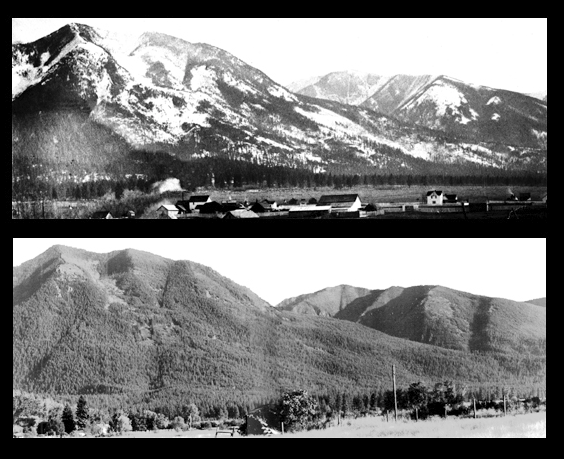 Image showing comparison of dry frequent-fire forests before and after fire supression