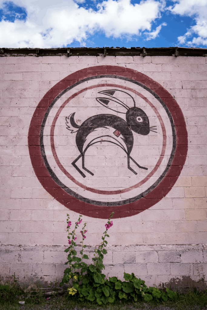 Conejo means rabbit in Spanish.
