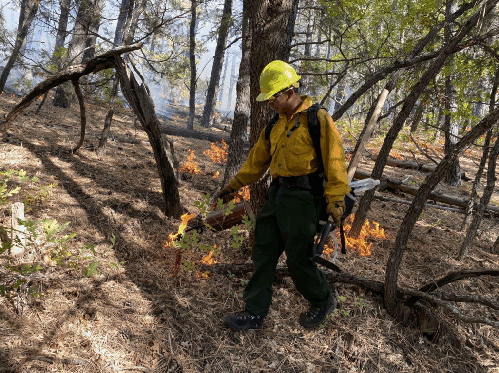 As part of the CFLRP’s goals to train future forestry professionals, Forest Stewards Youth Corp Crew Members from Jemez Pueblo supported the North Joaquin Prescribed Fire in 2024.